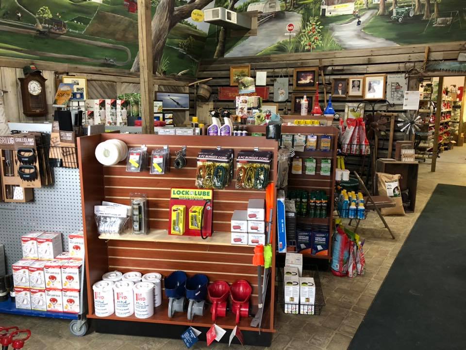 57154371_2820964224796415_7205027970862284800_n 2